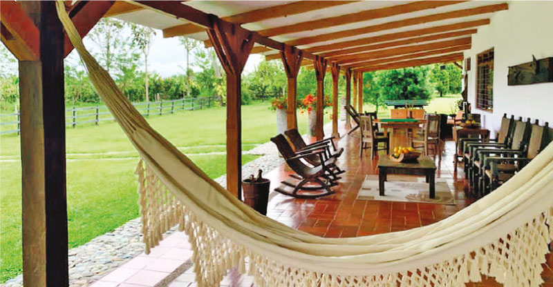 FINCA BUENAVISTA - Imagen 6