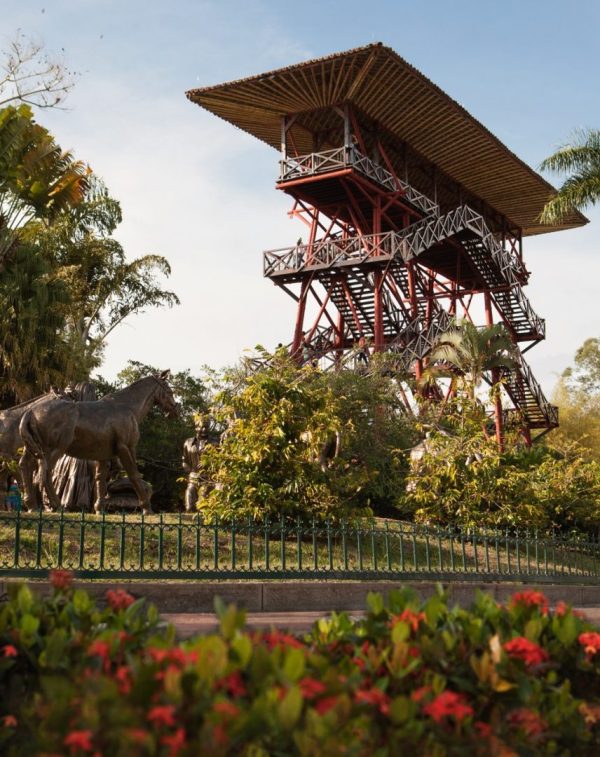 Parque del Café - Imagen 11