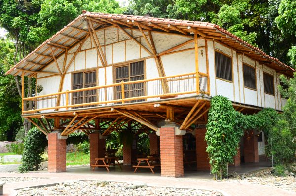 Jardín Botánico del Quindío - Imagen 7