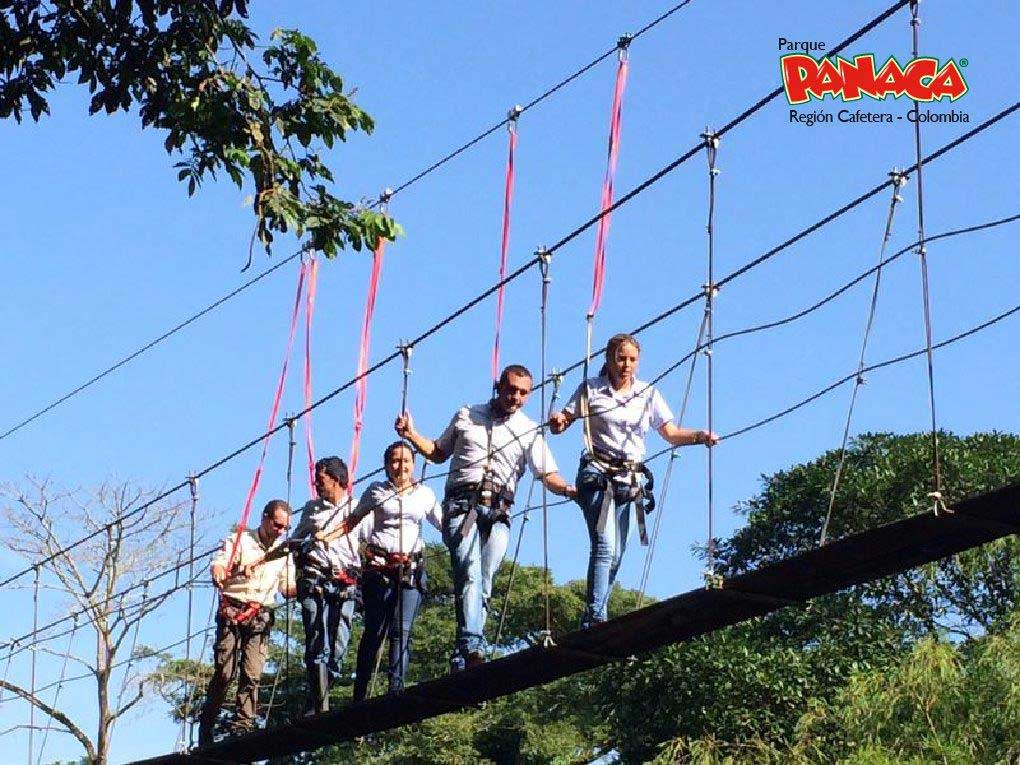 PANACA - Imagen 9