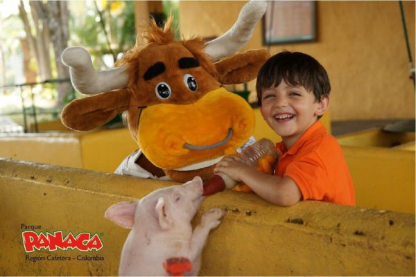 PANACA - Imagen 7