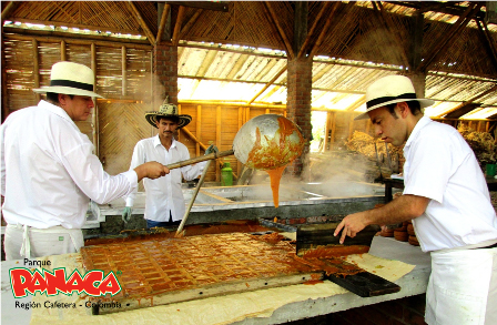 PANACA - Imagen 13