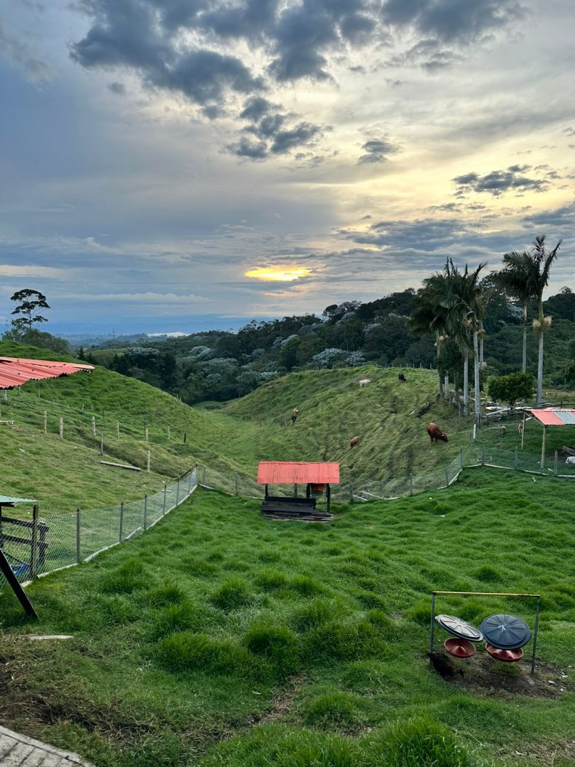 WhatsApp Image 2025-10-19 at 5.44.01 PM