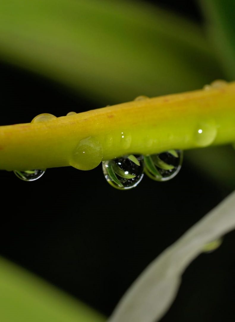 El Agua Fugaz y Eterna