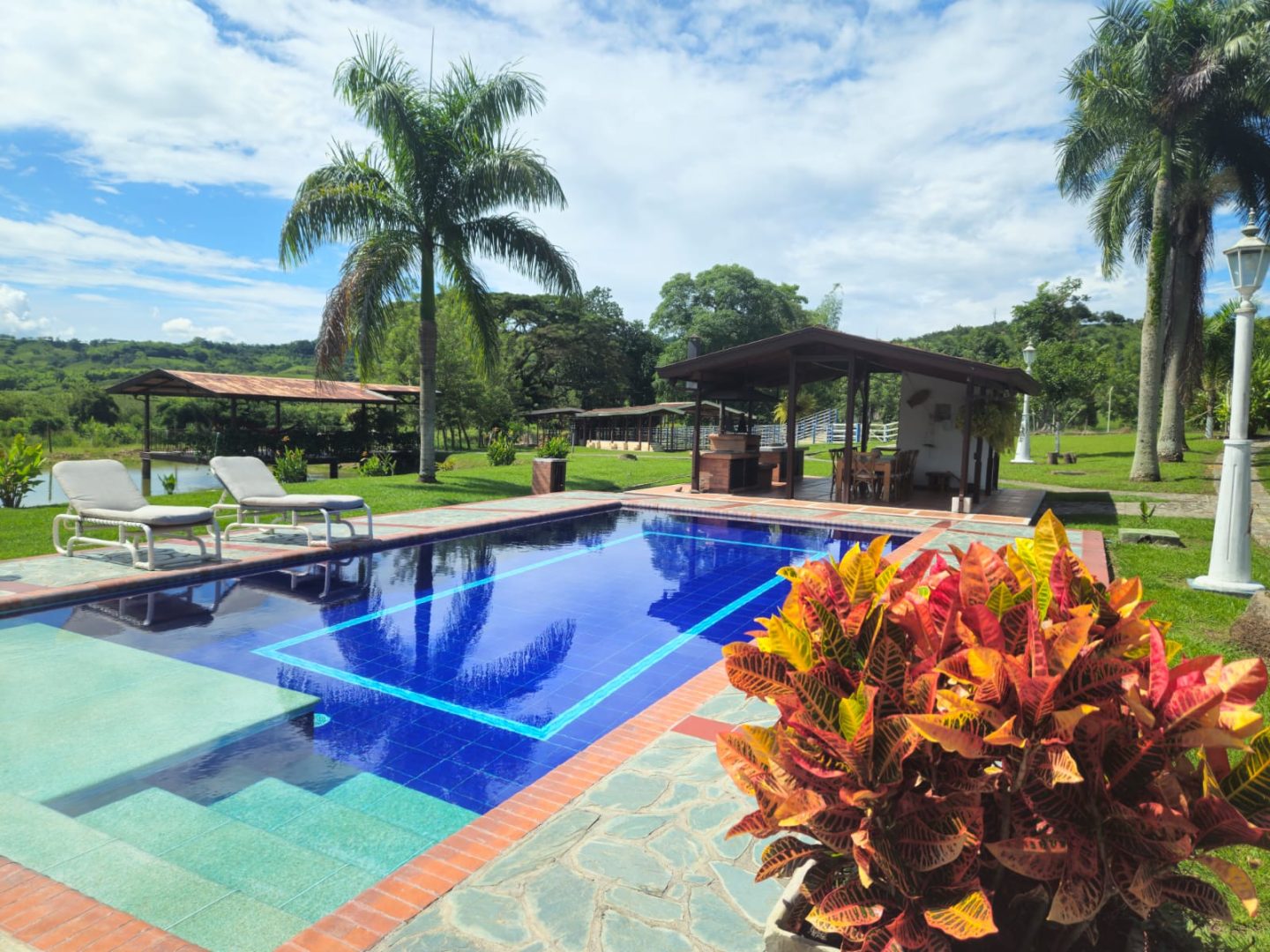 FINCA SAN PABLO - Imagen 5