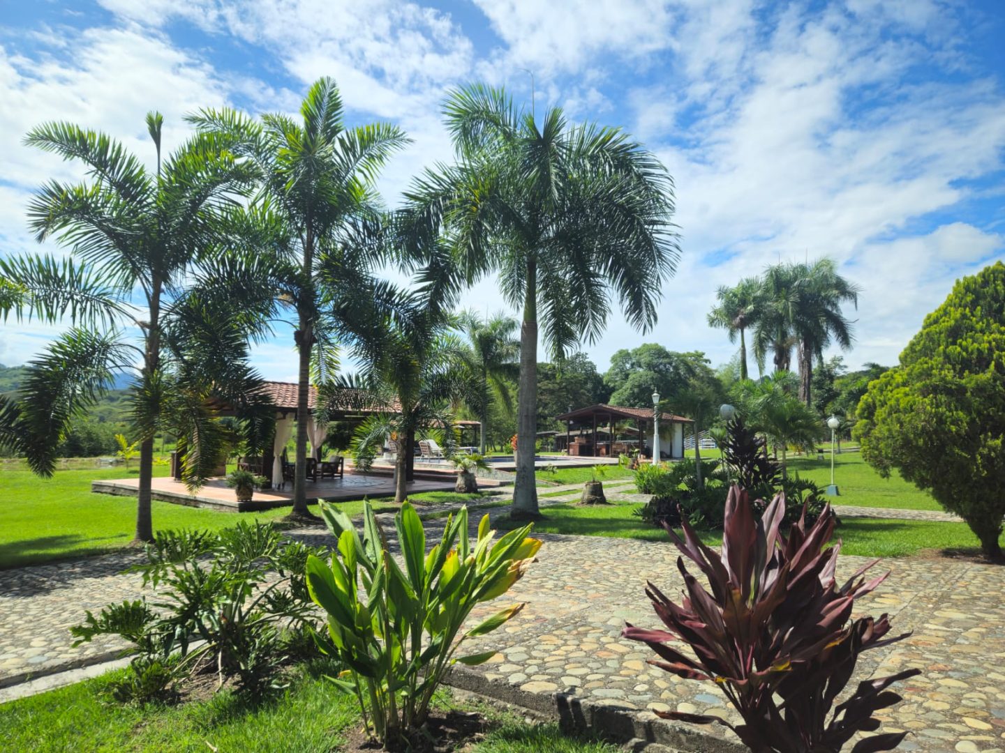 FINCA SAN PABLO - Imagen 6